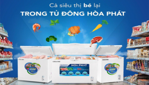 Tử đông hòa phát 500l